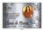 Placa para Túmulo 25x35 Aço Inox com 1 Foto em Porcelana - loja online