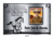 Placa para Túmulo 30x40 Aço Inox com 1 Foto em Porcelana