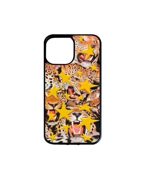 Wild Cats Case