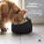 Bebedero y Comedero Para Gatos y Perros - tienda online