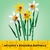 Lego® Botanical 40747 Narcisos | Flores Daffodils | 216 Piezas - tienda online