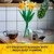 Imagen de Lego® Botanical 40747 Narcisos | Flores Daffodils | 216 Piezas