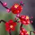 Lego Icons Botanicals 10369 Plum Blossom Flor De Ciruelo