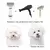 Secador Pet 3 em 1: Secagem, Escovação e Desembaraço Perfeito para Cães - PETELECO