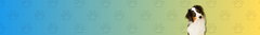 Banner da categoria Brinquedos Interativos e Enriquecimento