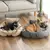 Tapete Cama 3 em 1 para Cães e Gatos na internet