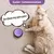 Botões de Comunicação para Cães – Gravação de Voz 30s