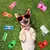 Kit 1200 Sacos de Cocô para Cães – À Prova de Vazamento - comprar online