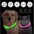 Coleira Luminosa Recarregável para Cães e Gatos – LED Ajustável
