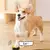 Botões de Comunicação para Cães – Gravação de Voz 30s - comprar online
