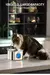 Fonte Bebedouro em Aço Inoxidável – Silenciosa, Durável e Inteligente para Pets na internet