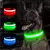 Coleira Luminosa Recarregável para Cães e Gatos – LED Ajustável - comprar online