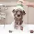 Cepillo de Baño para Perros y Gatos con Dispensador de Jabón – Limpieza y Masaje en Uno - comprar en línea