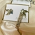 CONJUNTO DE TOCADO MÁS AROS - tienda online