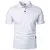 Imagem do Camiseta Polo Casual
