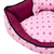 Caminha Realeza Rosa Suave na internet