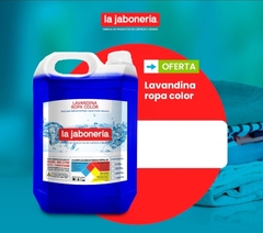 LAVANDINA ROPA COLOR - comprar online