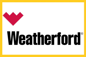 Marca 17 de Elásticos Lioy