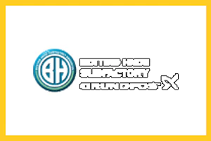 Marca 2 de Elásticos Lioy