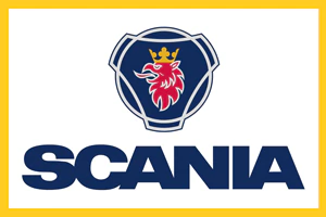 Marca 13 de Elásticos Lioy