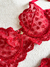 Conjunto tule bordado romance vermelho - Seduza lingerie