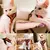 COLEIRA PEITORAL PARA GATOS na internet