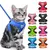 COLEIRA PEITORAL PARA GATOS - comprar online