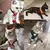 COLEIRA PEITORAL PARA GATOS - loja online
