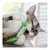 Brinquedo Folhas Petstages Freshbreath Mint Stick para Gato na internet