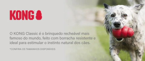 Carrossel 1