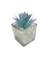 Imagen de Pack x12 Mini Plantas Artificiales en Vidrio
