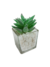 Pack x12 Mini Plantas Artificiales en Vidrio