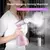 Máquina de ferro a vapor Steampass - Vaporizador portátil - loja online