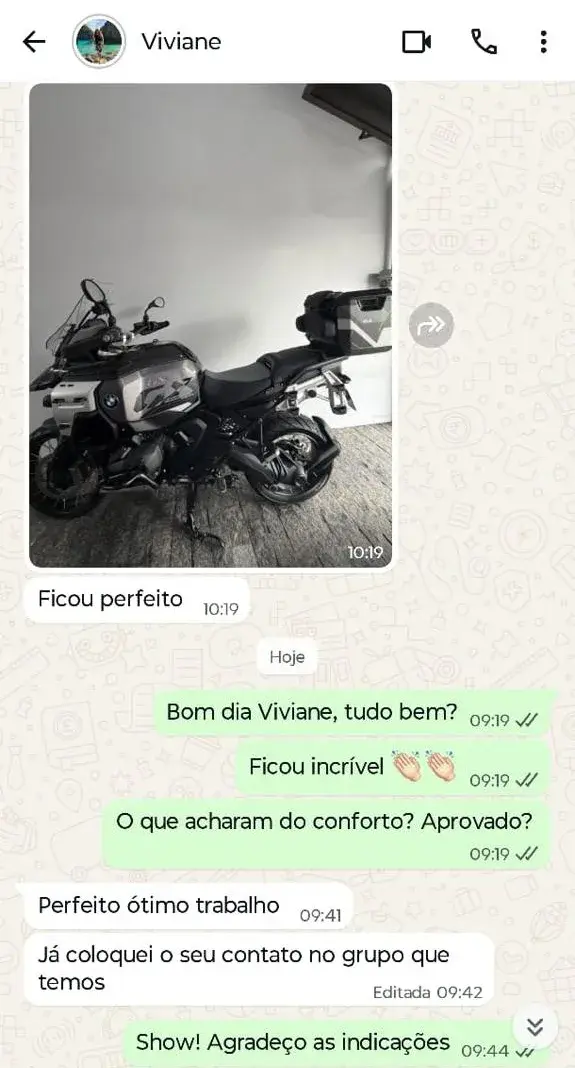 Conversa de WhatsApp: Viviane diz que ficou perfeito