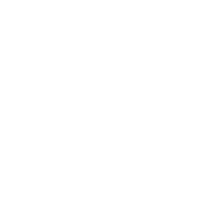 Predint