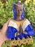 Santa Sara Busto na internet