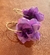Imagem do Brinco Rosa Vermelho ou Roxo
