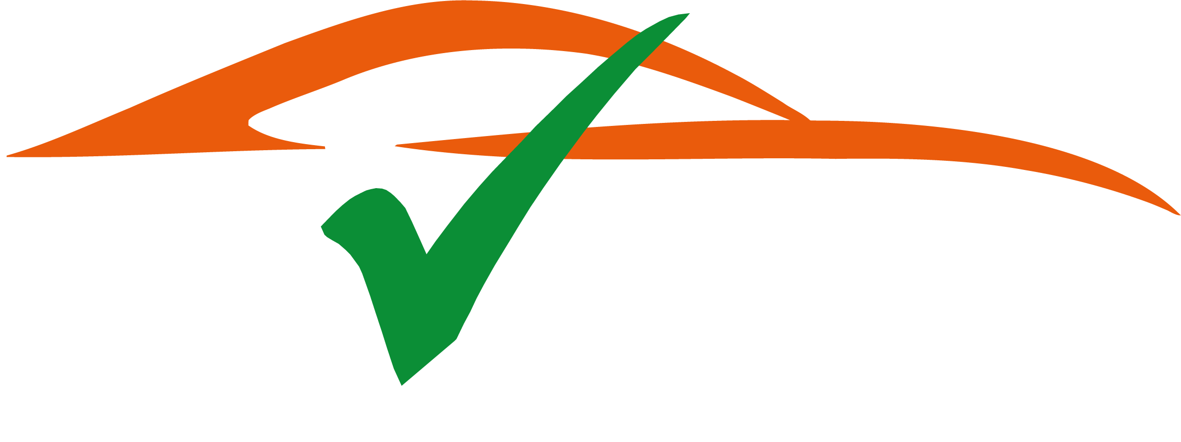 Revizzy