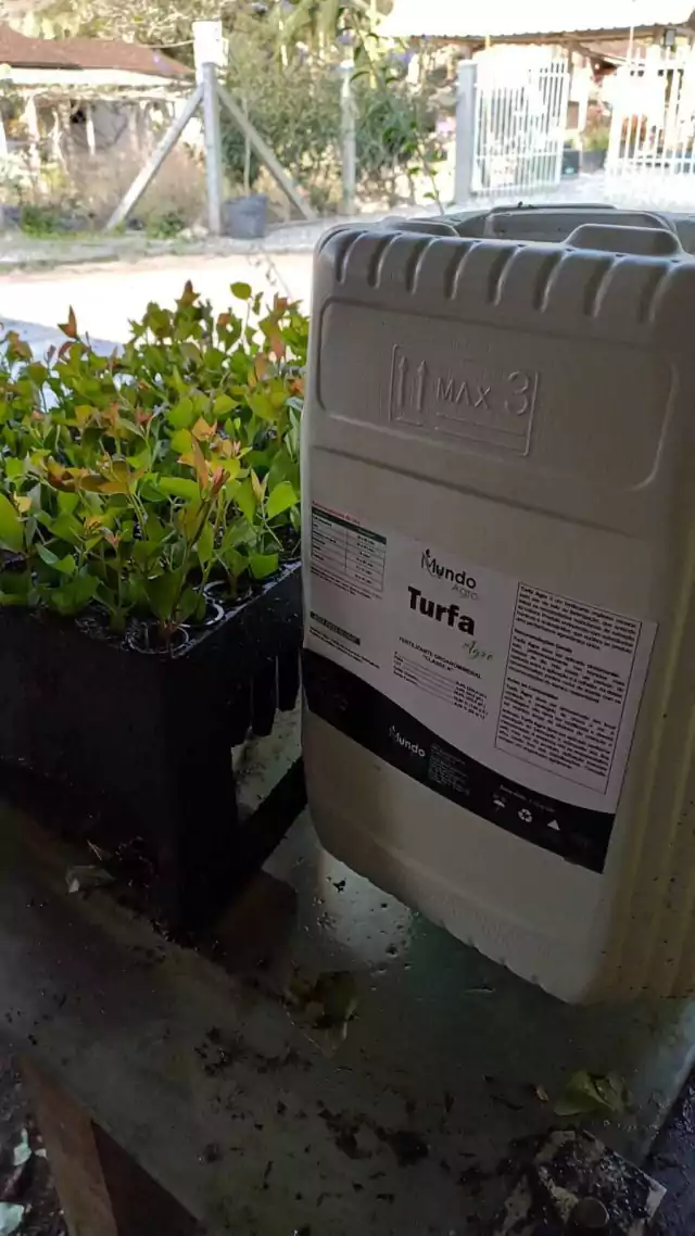 Mundo Agro