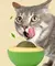 Bola de Catnip Premium Importada – Bem-estar e Limpeza Dental para Gatos - comprar online
