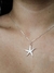 Collar Orilla en internet