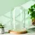 Cúpula de Vidro Para Plantas na internet