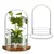 Cúpula de Vidro Para Plantas - loja online