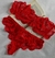 Conjunto Strapple
