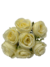 Buquê de Rosas 11014