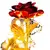Imagem do Flor da vida eterna folha de ouro rosa presente