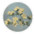 azaleas