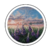 lavanda