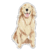 harry