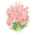 tulipan